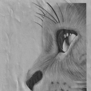 Karolina aus Vöcklabruck