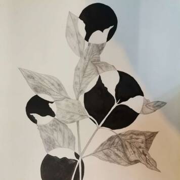 Natalie  aus Gmunden