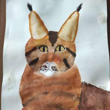 Sophie  aus Linz-Land