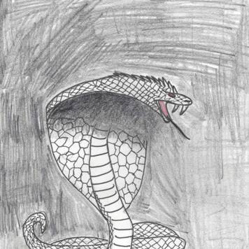 Jonas  aus Kirchdorf