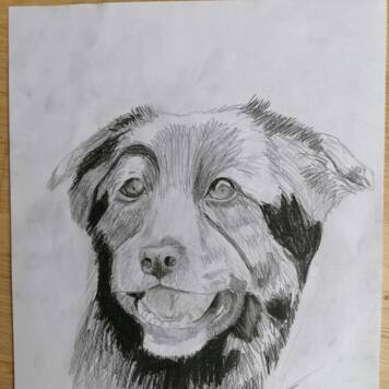 Johanna aus Linz-Land