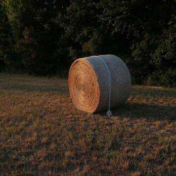 Johanna aus Linz-Land