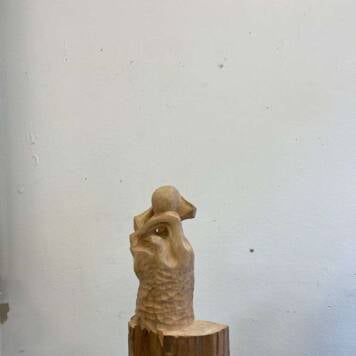 Johannes aus Freistadt