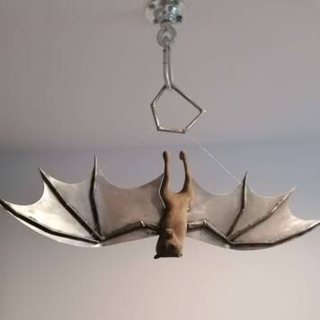 Melanie  aus Freistadt