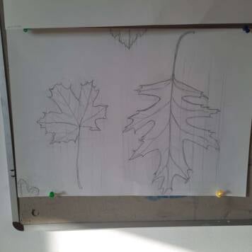 Marisol aus Linz-Land