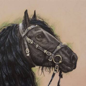 Celina aus Vöcklabruck