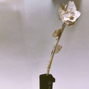 Sophia Agnes aus Rohrbach