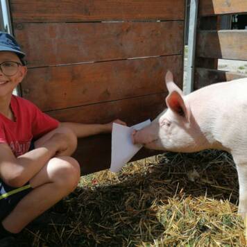 Michael Josef aus Freistadt