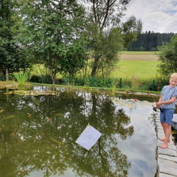 Felix aus Urfahr-Umgebung