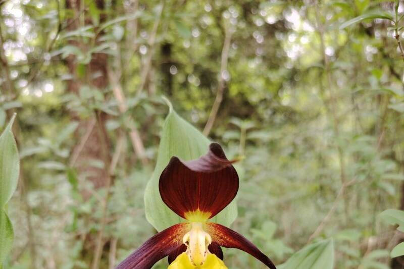 Fotocredit: Gabriel Reiter