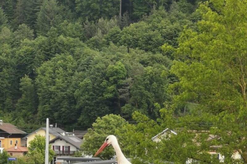 Fotocredit: Ing. Günther Hansel, BEd.