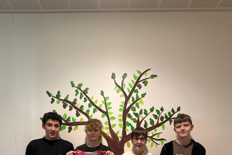 Fotocredit: IMS Steyregg