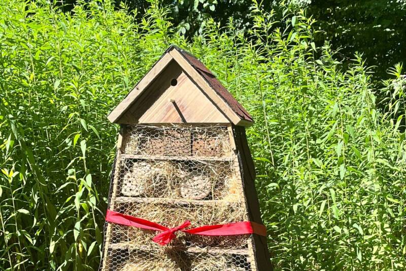 Fotocredit: Stefanie Petrowitsch