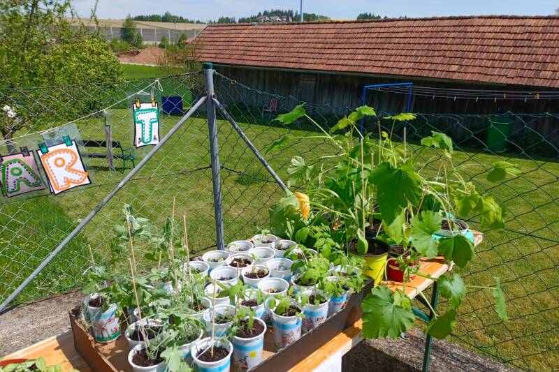 Fotocredit: Julia Humel