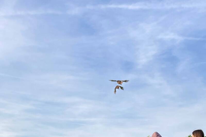 Fotocredit: Privatschule ErLe