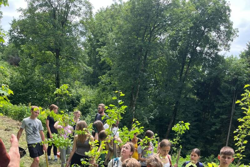 Fotocredit: Georg von Peuerbachgymnasium