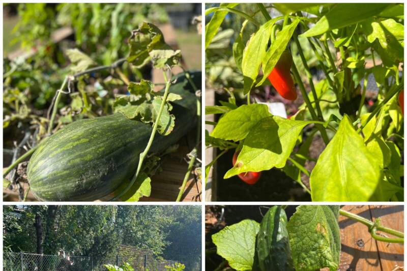 Fotocredit: Gisela Kreimer