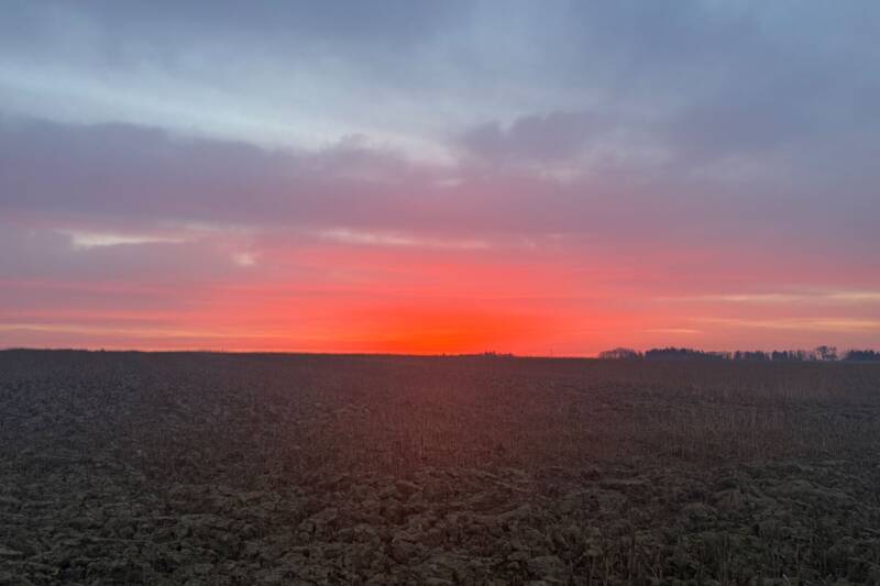 Fotocredit: Susanne Kaser