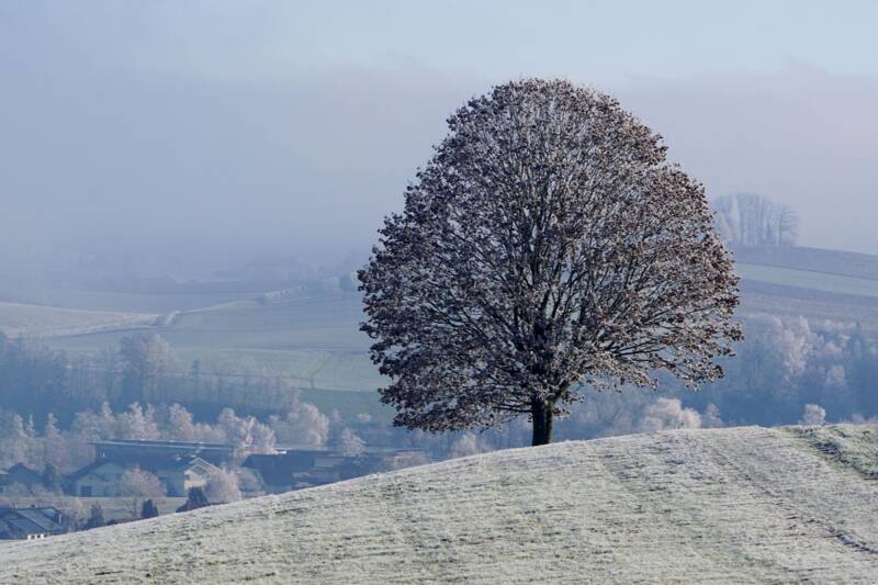 Fotocredit: Alois Litzlbauer