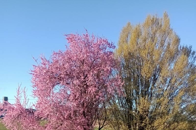 Fotocredit: Gabriele Stammler