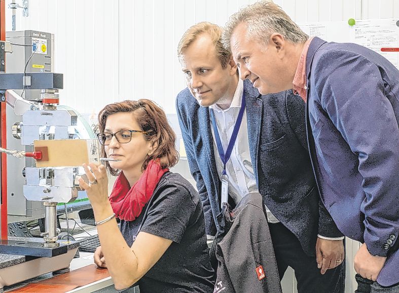 Phd dissertation picture