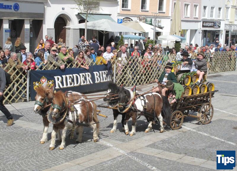 1649869995.556-rieder-pferdemarkt-2022.j