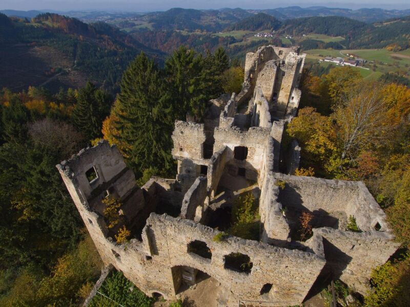 Naturtipp Ruinen Als Lebensraum