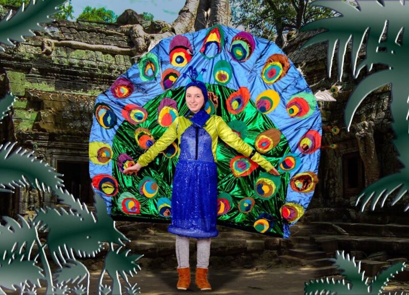 Das Dschungelbuch Rollen