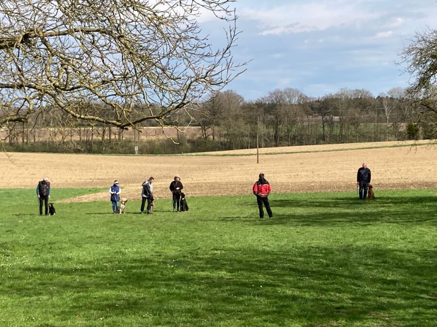 Hundeausbildungskurs