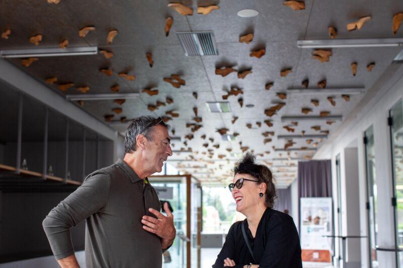 Hubert von Goisern für die Kulturhauptstadt 2024 unterwegs