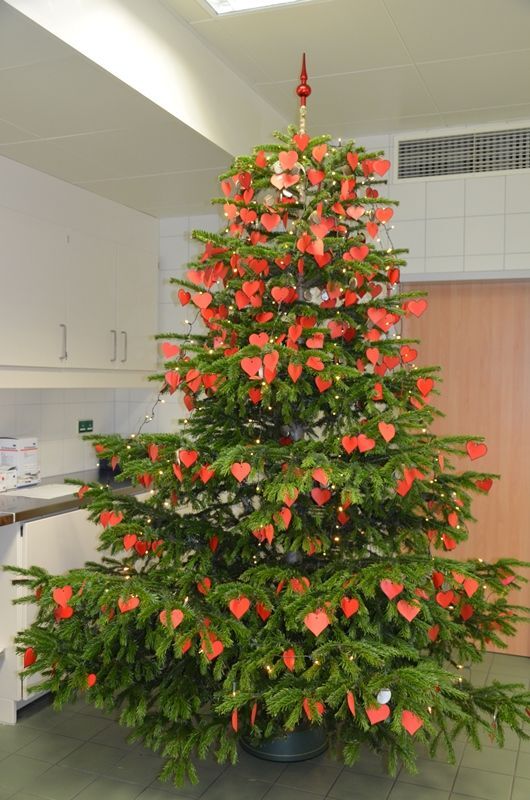 Ein Einzigartiger Weihnachtsbaum Im Landesklinikum Amstetten