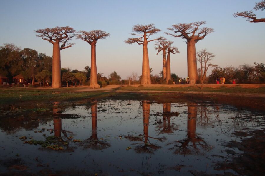 Madagaskar - Insel der Lemuren