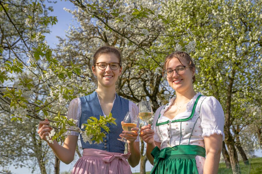 64. Samareiner Mostkost