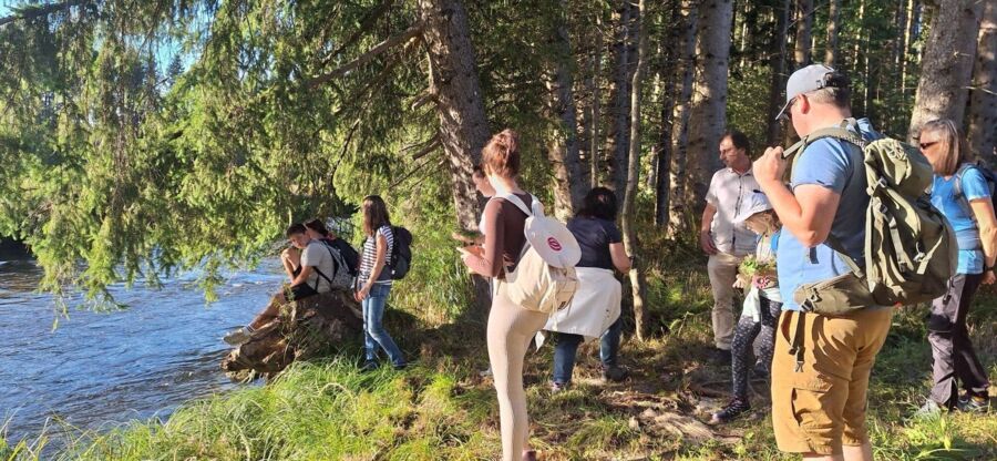 Herbstliche Wanderung im Tal der Großen Mühl