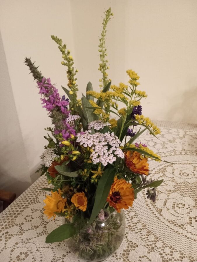 Seminar: Grünkraft ist Lebenskraft