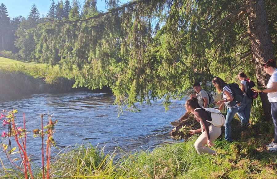 Naturführung und Kräuterwanderung