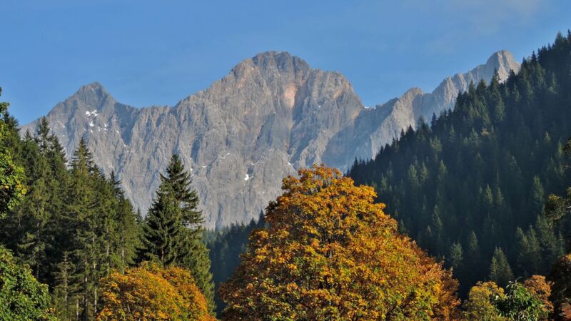 Get Zu erleben Desktop Wallpaper