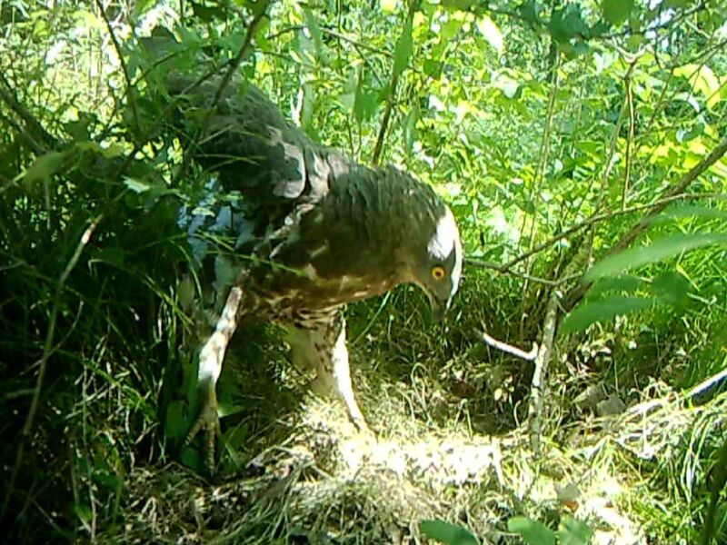 Urlaub Bei Den Reimanns