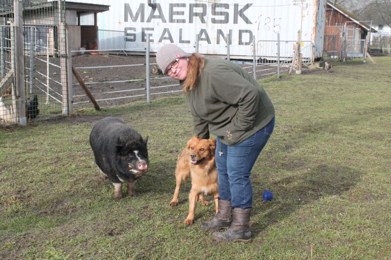 Ennser Ehepaar Leitet Ein Tierasyl Fur Huftiere Geflugel Und Einen Hund