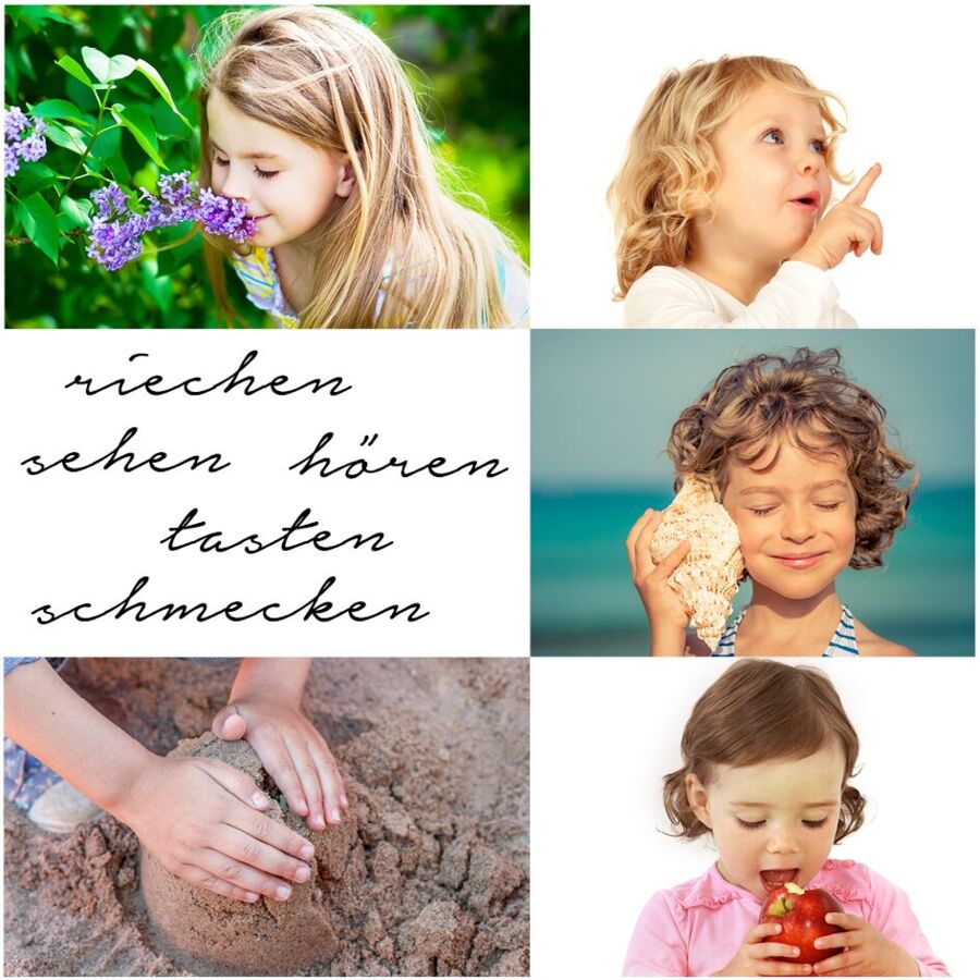 SENSORISCHE INTEGRATION - DAS ZUSAMMENSPIEL DER SINNE