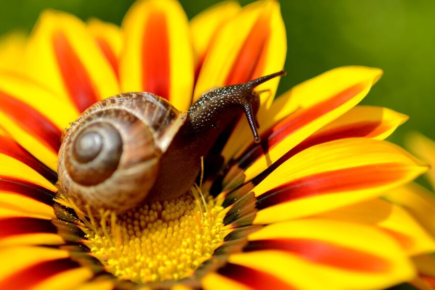 „Immer nie Zeit für mich?“ - Seminar