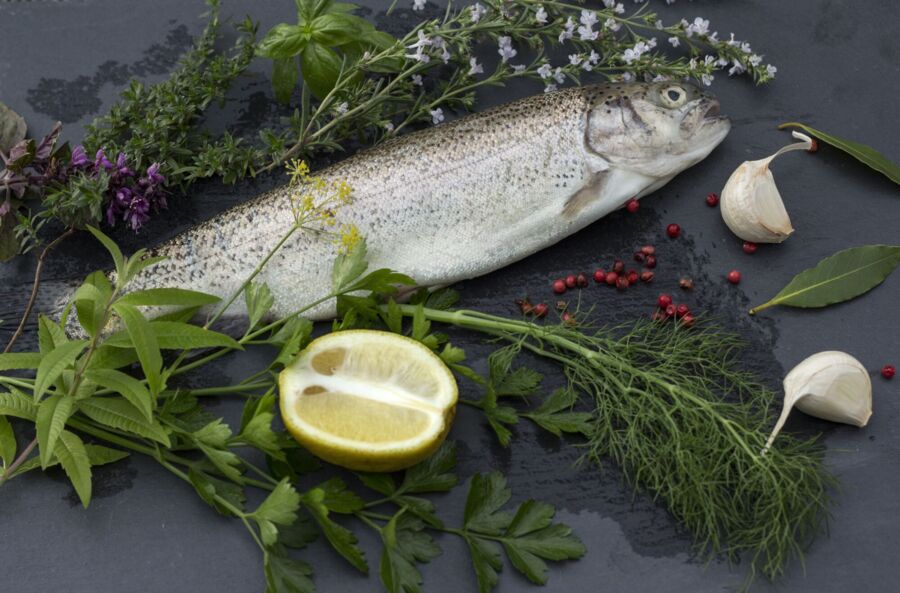 Fischköstlichkeiten - F(r)isch auf den Tisch