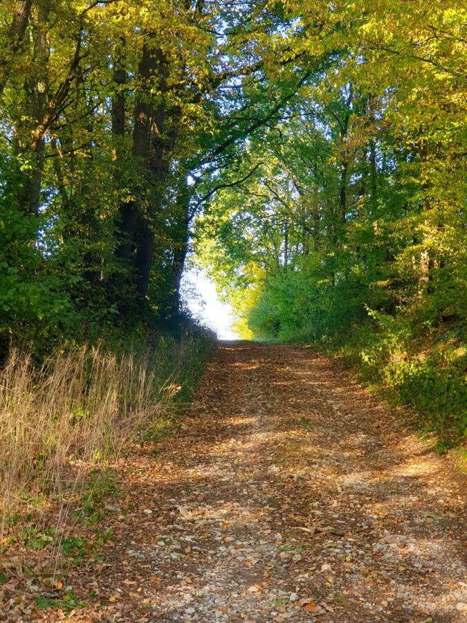 Kapellenwanderung der Pfarre Lambach