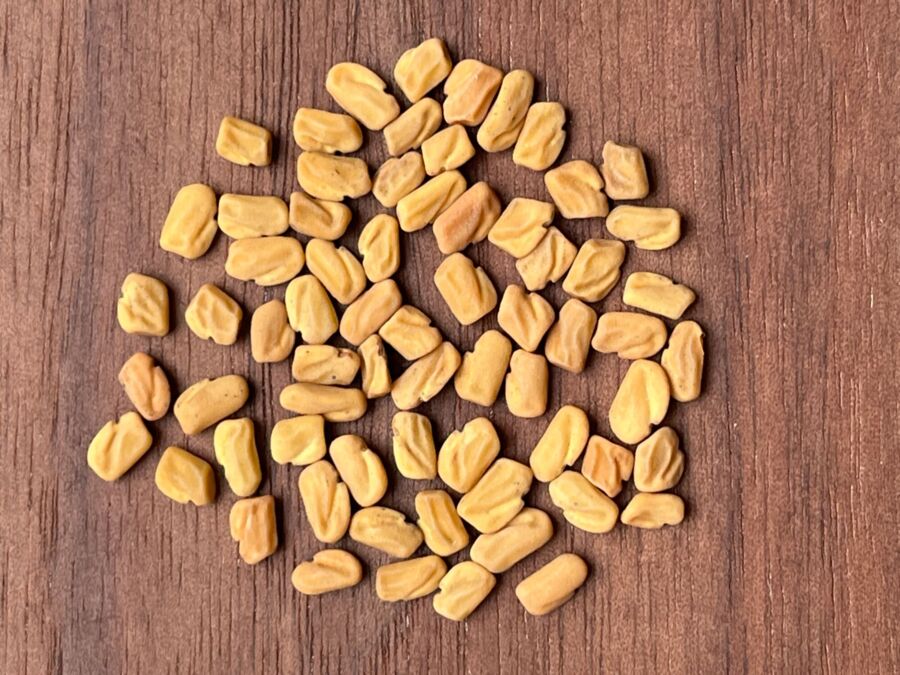 Bockshornklee – für volles Haar, Entzündungshemmer & toller Begleiter in den Wechseljahren für Frauen & Männer