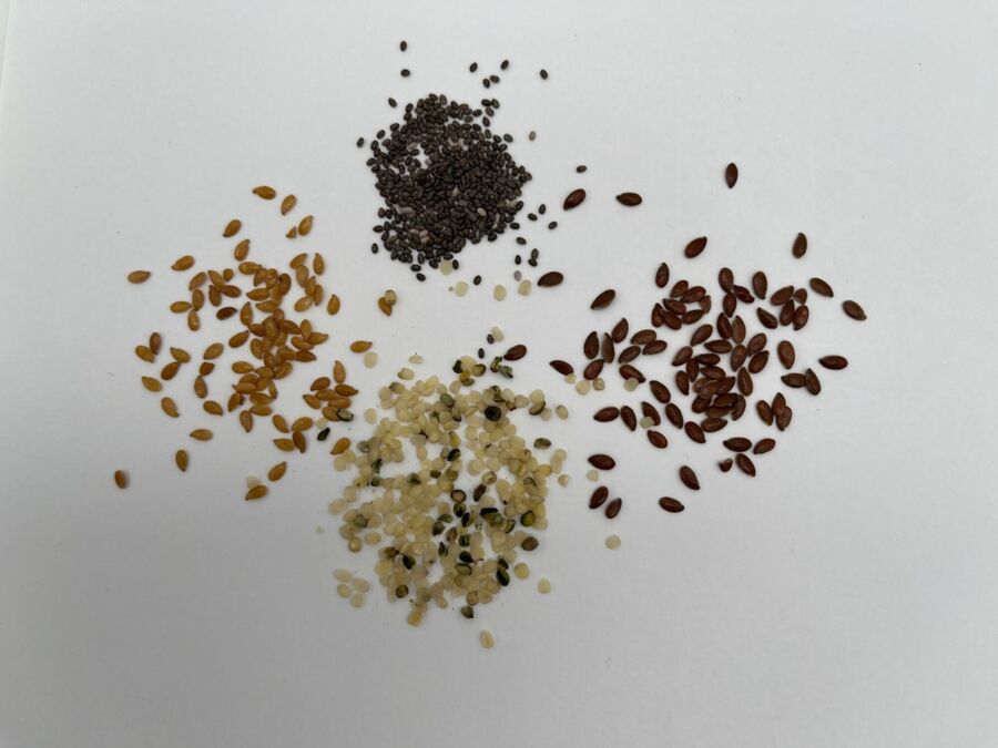 Omega-3-Fettsäuren: Das Geheimnis für ein starkes Herz und einen klaren Kopf – Entdecke die Kraft der gesunden Fette