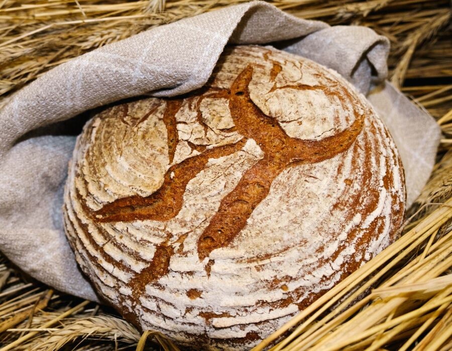 Brot & Gebäck aus dem eigenen Backofen - Mit gelingsicheren Rezepten Brote selber machen