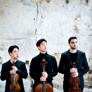 ZELL a. d. PRAM, 3 × 2 Karten für das ARNOLD STRING TRIO am 3. Juli im Schloss Zell