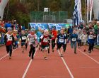 OTTENSHEIM: 10 Startplätze für den Donaulauf Ottensheim am 10. Oktober