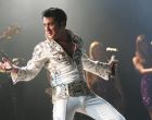 LINZ. 3 x 2 Freikarten für „Elvis – das Musical“, 5. April, Brucknerhaus