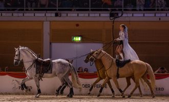 WELS. VIP-Tisch für 4 Personen bei der Show "Nacht der Pferde - The Power of Emotions" im Rahmen der Messe Pferd Wels, 17. Mai, 10.30 Uhr, Messe Wels